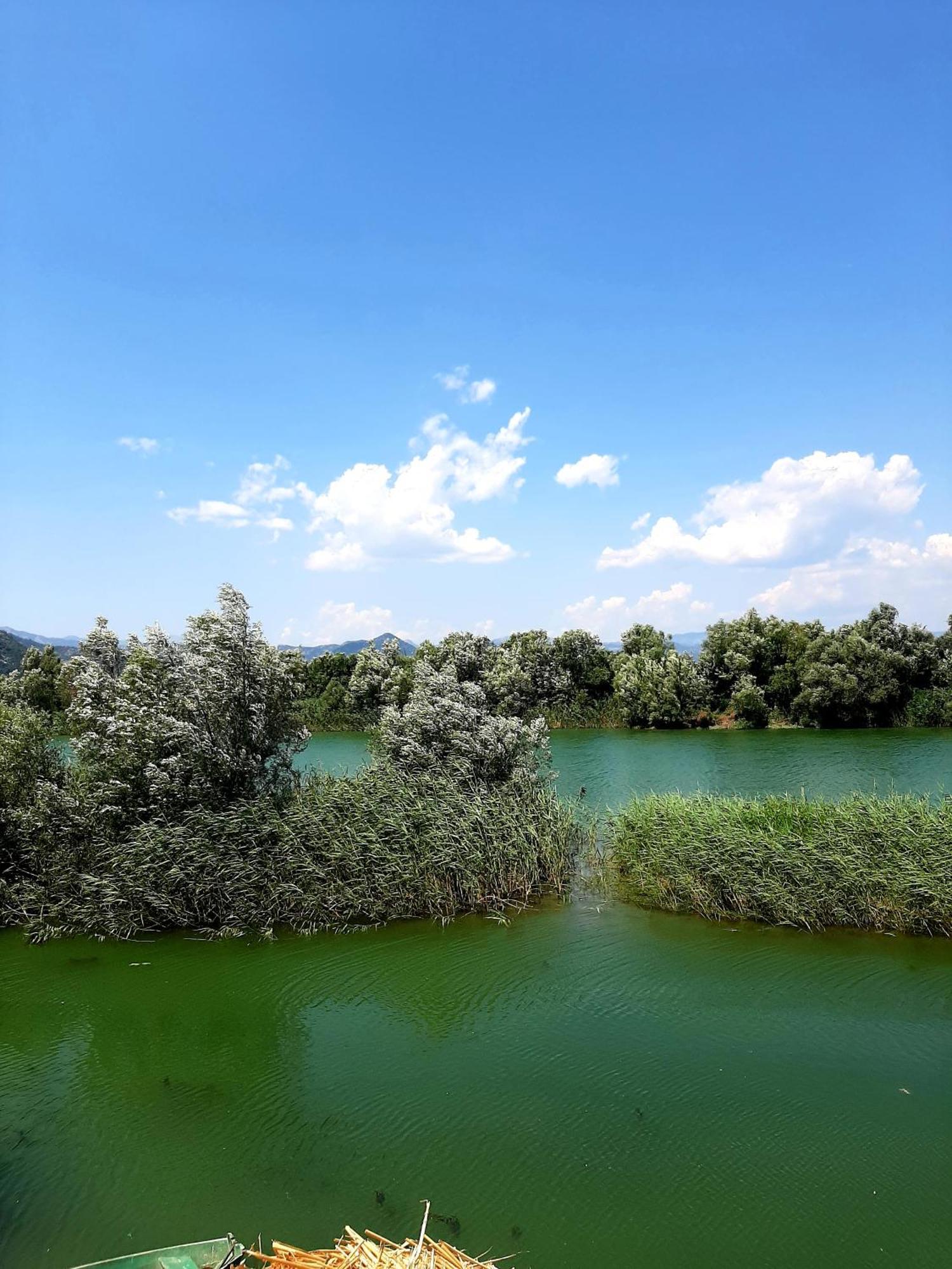 Skadar Lake House Virpazar Exteriér fotografie