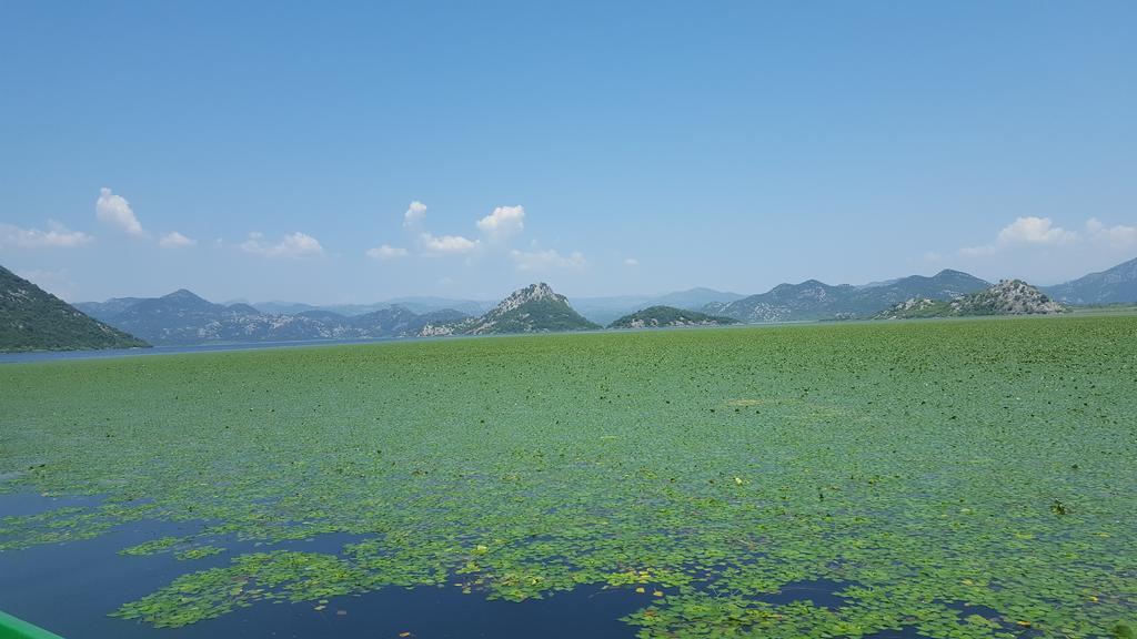 Skadar Lake House Virpazar Exteriér fotografie
